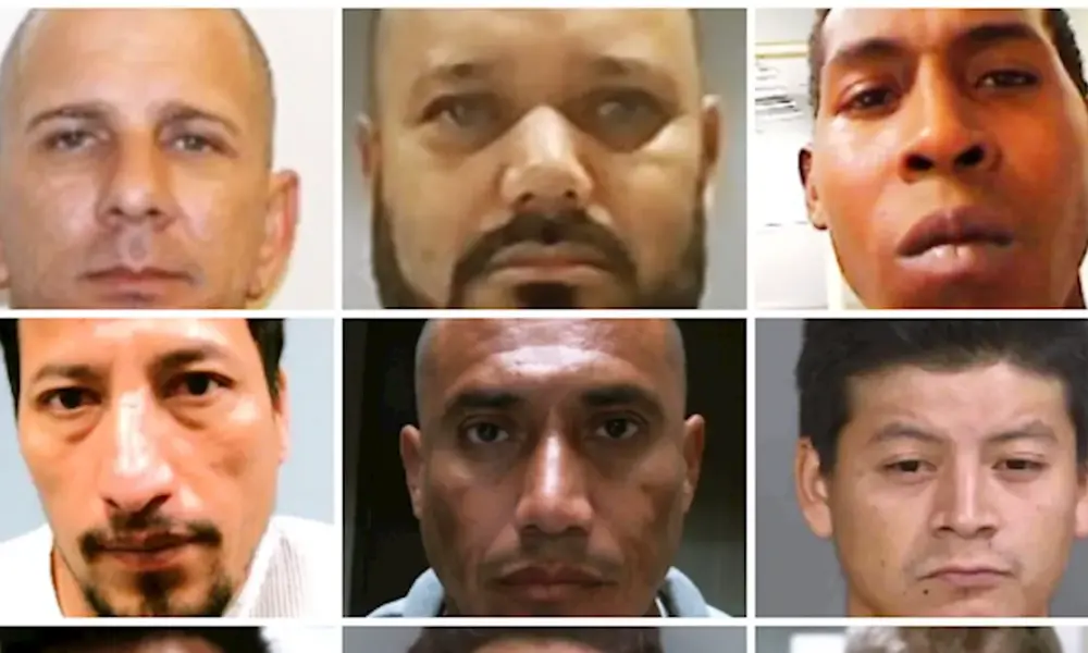 DHS Reports Nearly 500,000 Arrests of Criminal Illegal Aliens